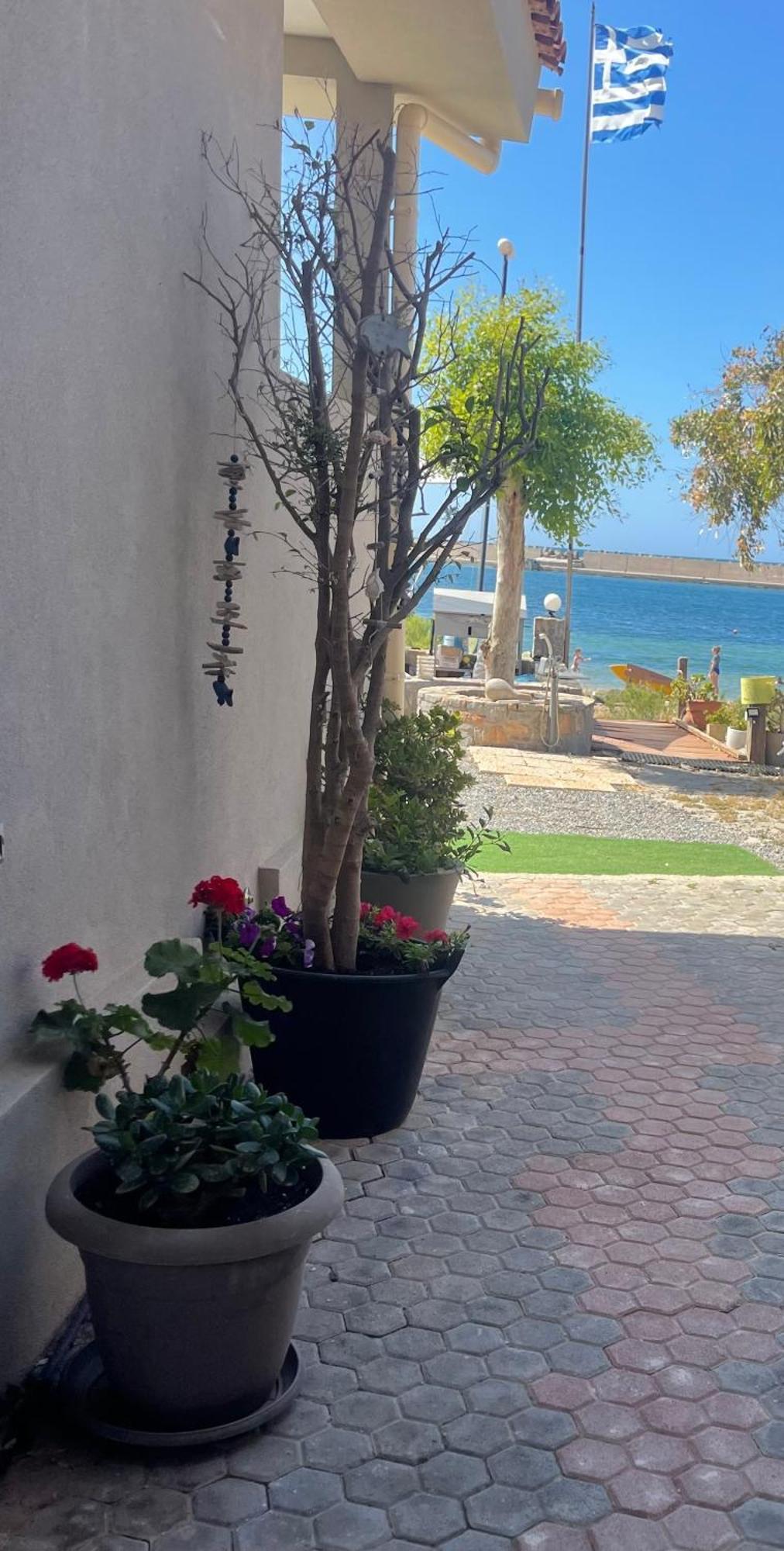 Sea View Apts & Suites By Pachiplex Malia Esterno foto